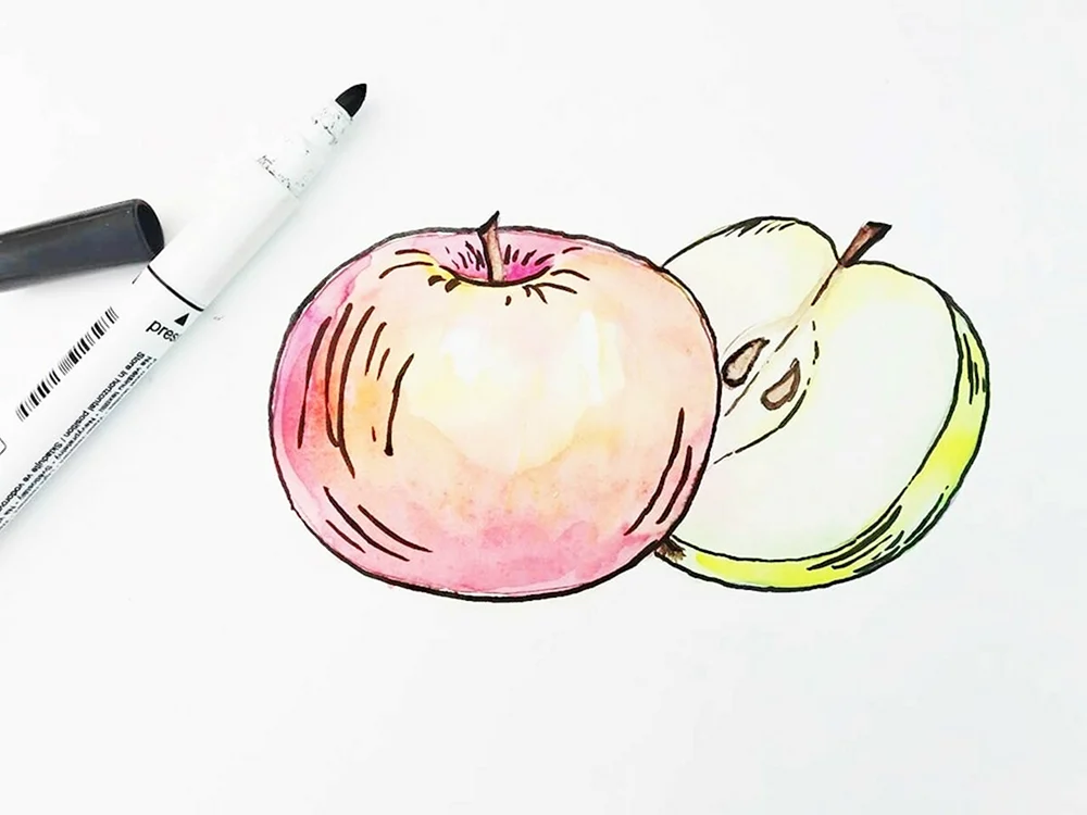 Apfel Skizze
