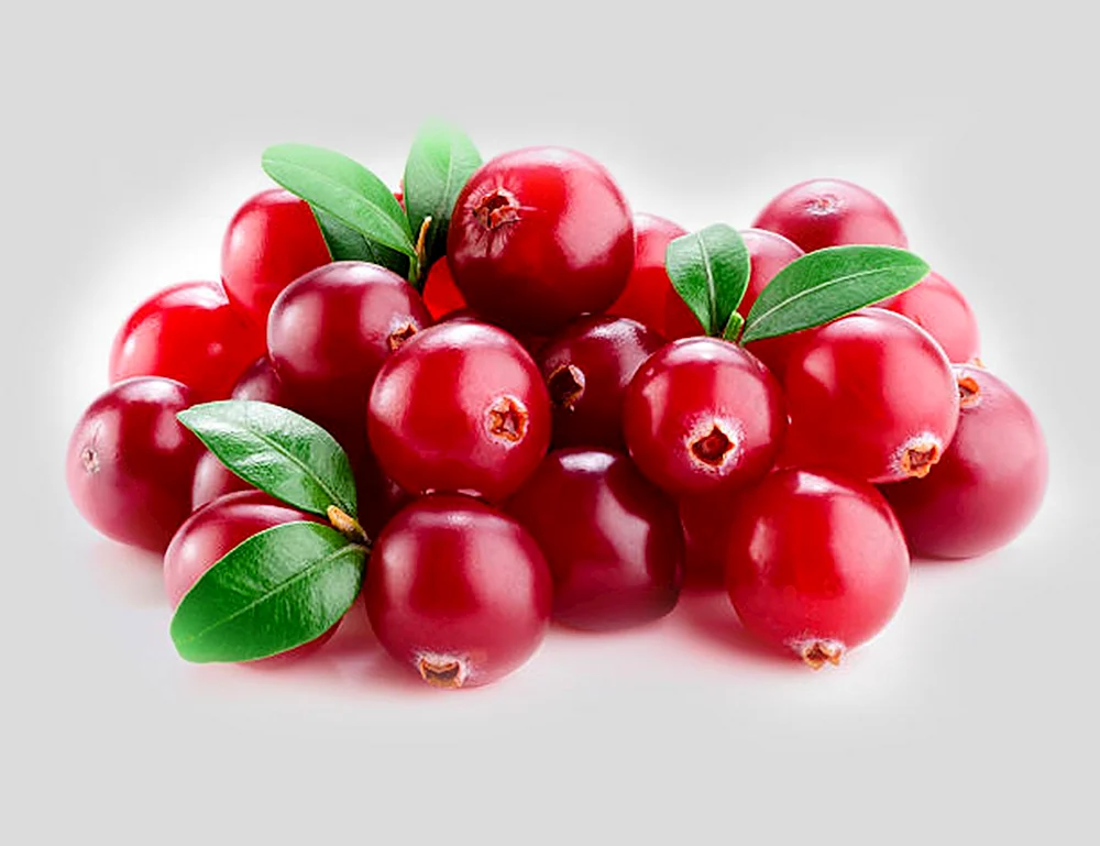 Cranberries und Cranberries