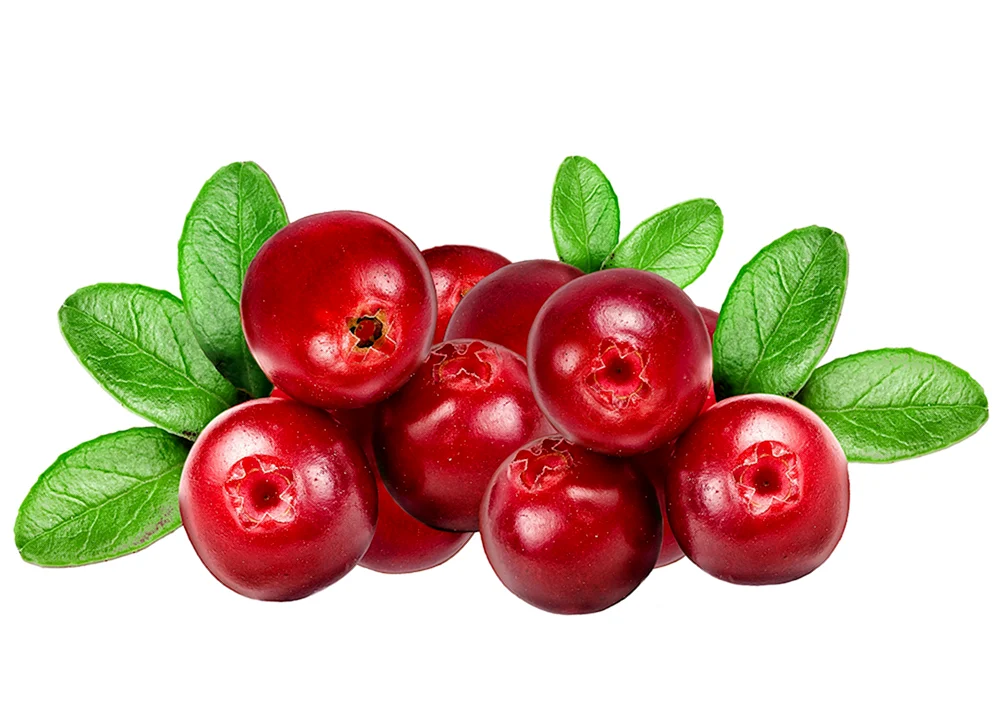 Cluckleberries und Cranberries in Spielen