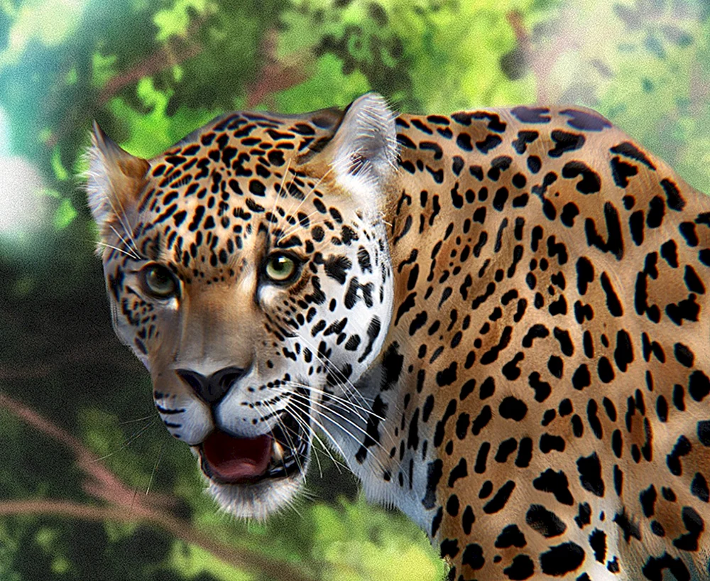 Jaguar und Leopard