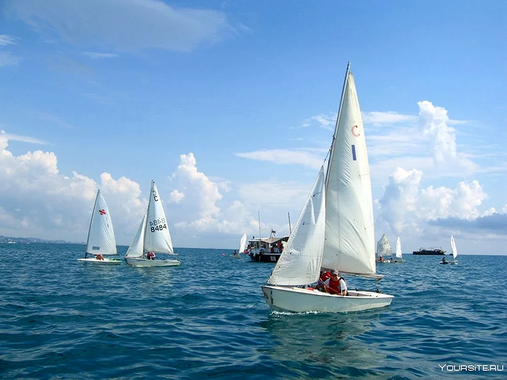 Yacht Segelregatta