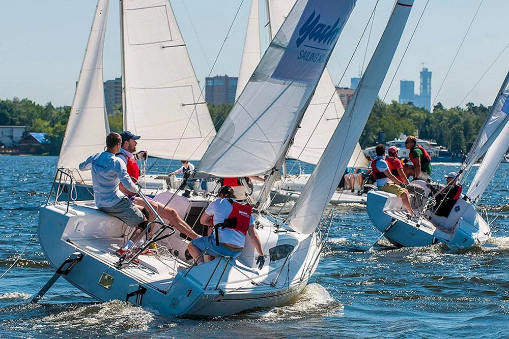 Yacht Regatta regatta