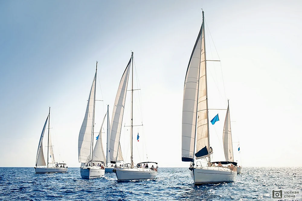 Segeln Yachtsport