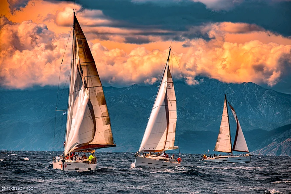 Yacht-Regatta