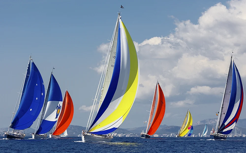 Segelregatta Finnischer Meerbusen