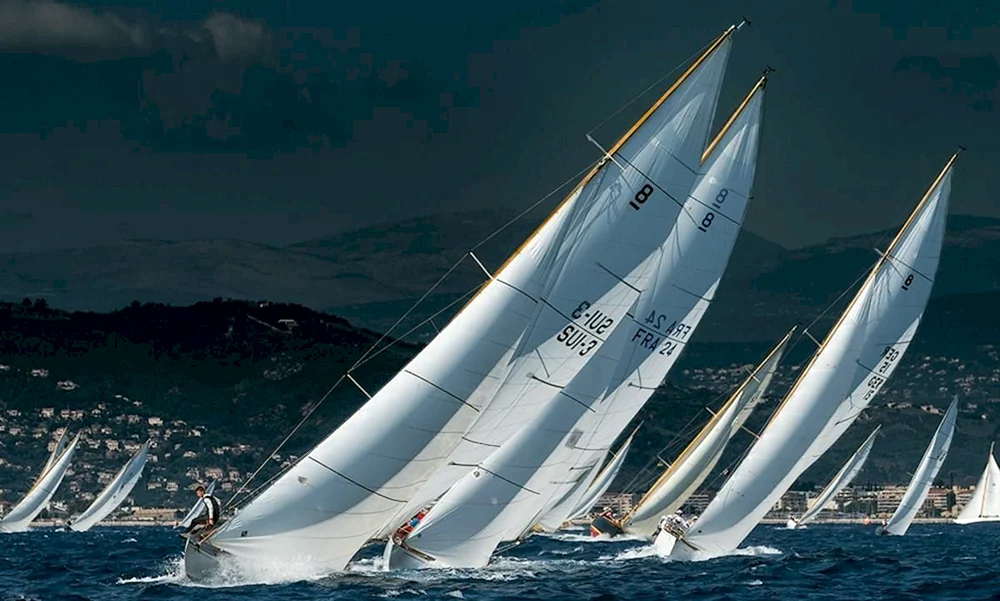 Alekseev-Regatta 2022