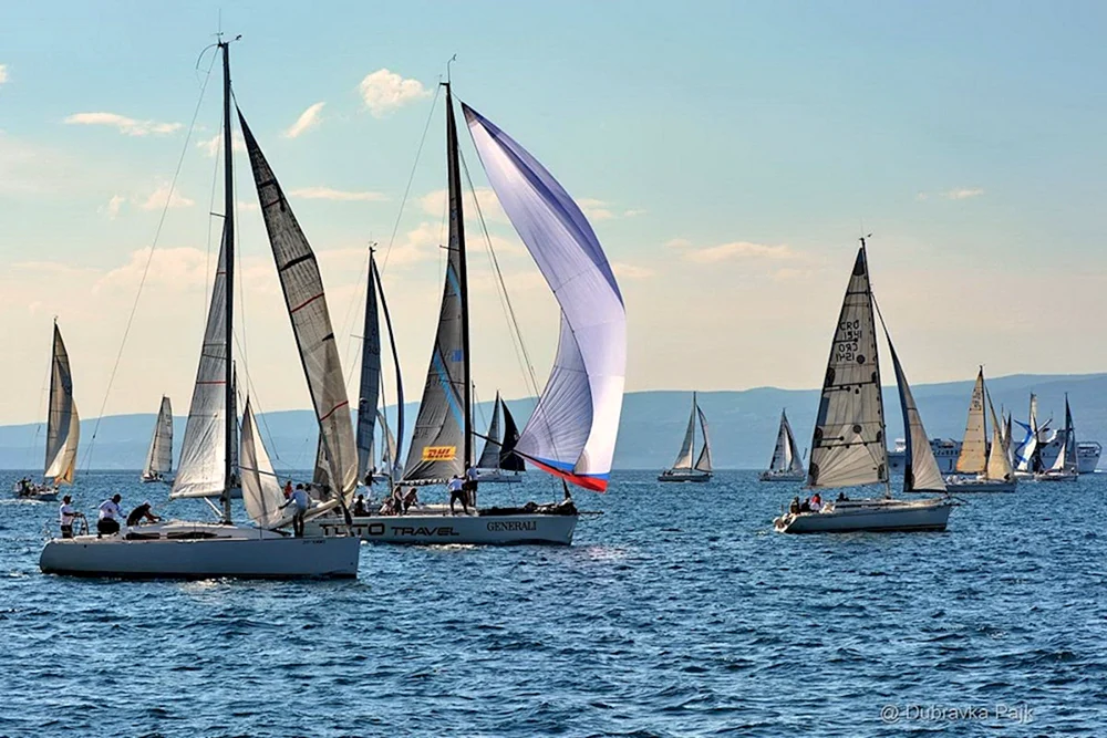Yacht Segelregatta