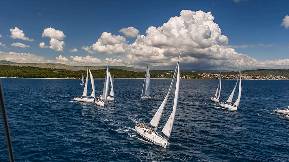 Yacht Segelregatta