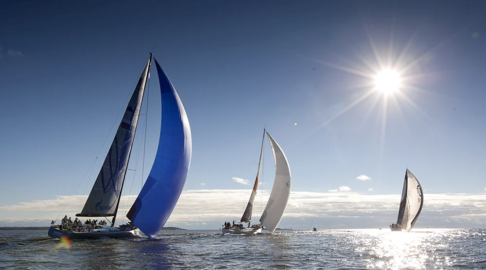 Regatta Alekseev Regatta 2022