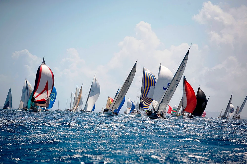 Yacht Regatta