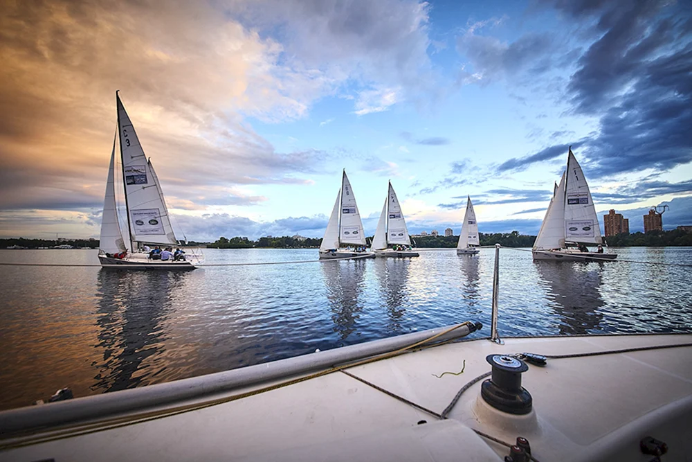 Segler regatta