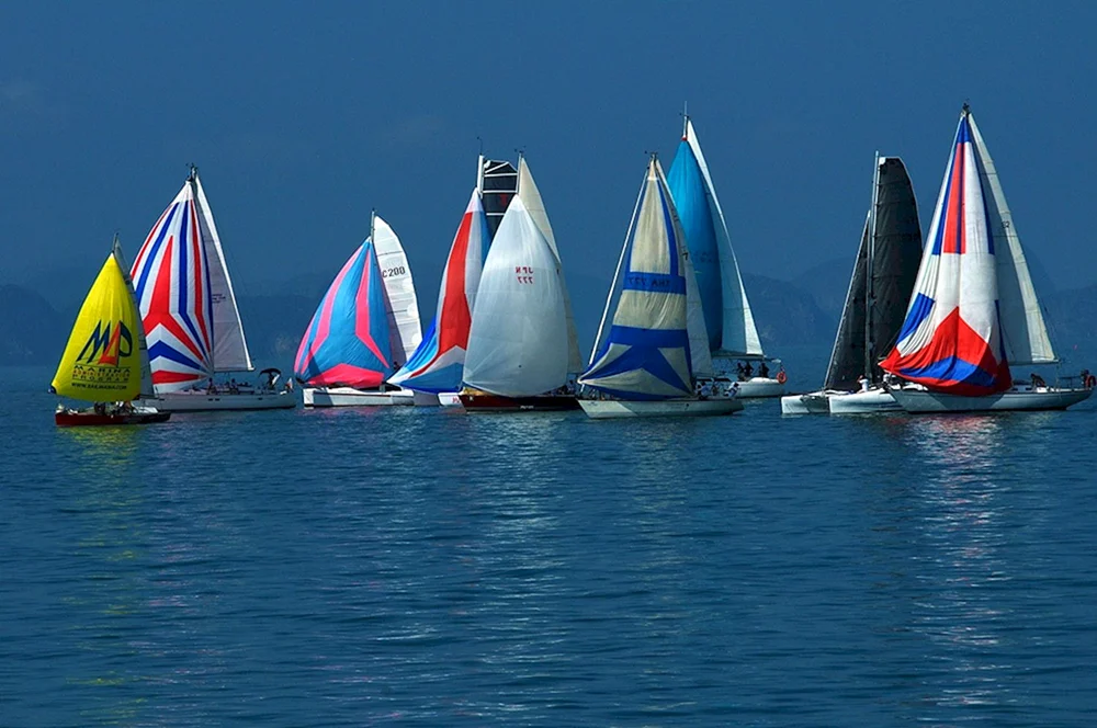 Segelregatta