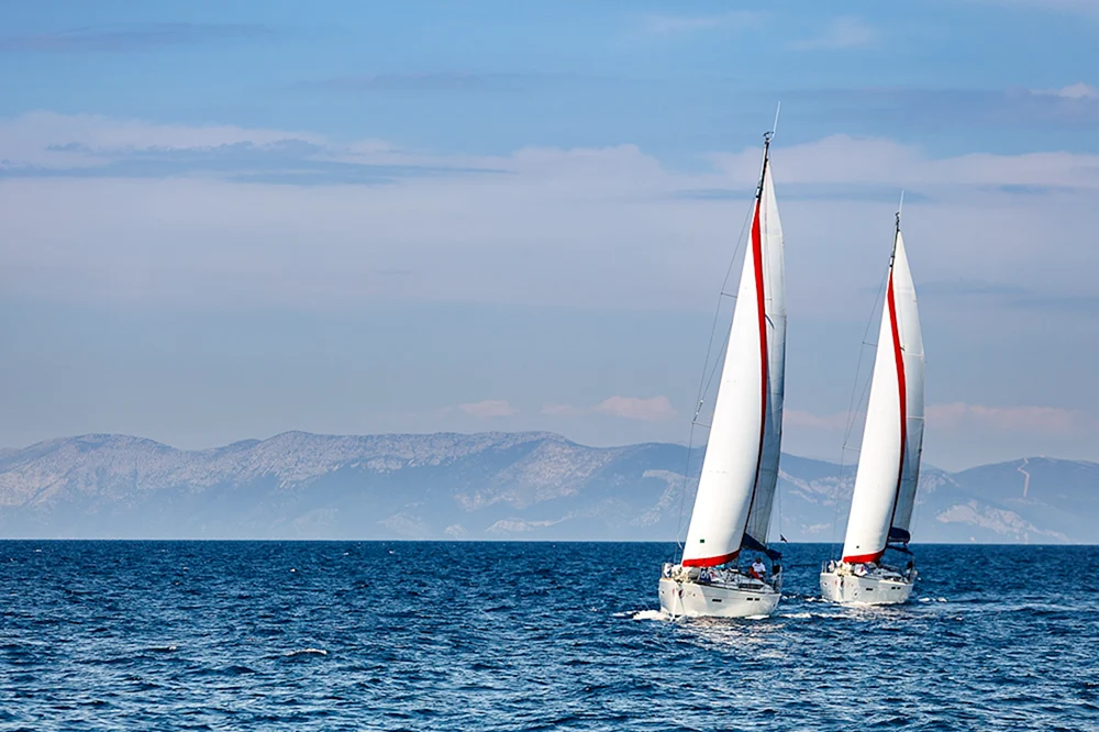 Yacht Regatta