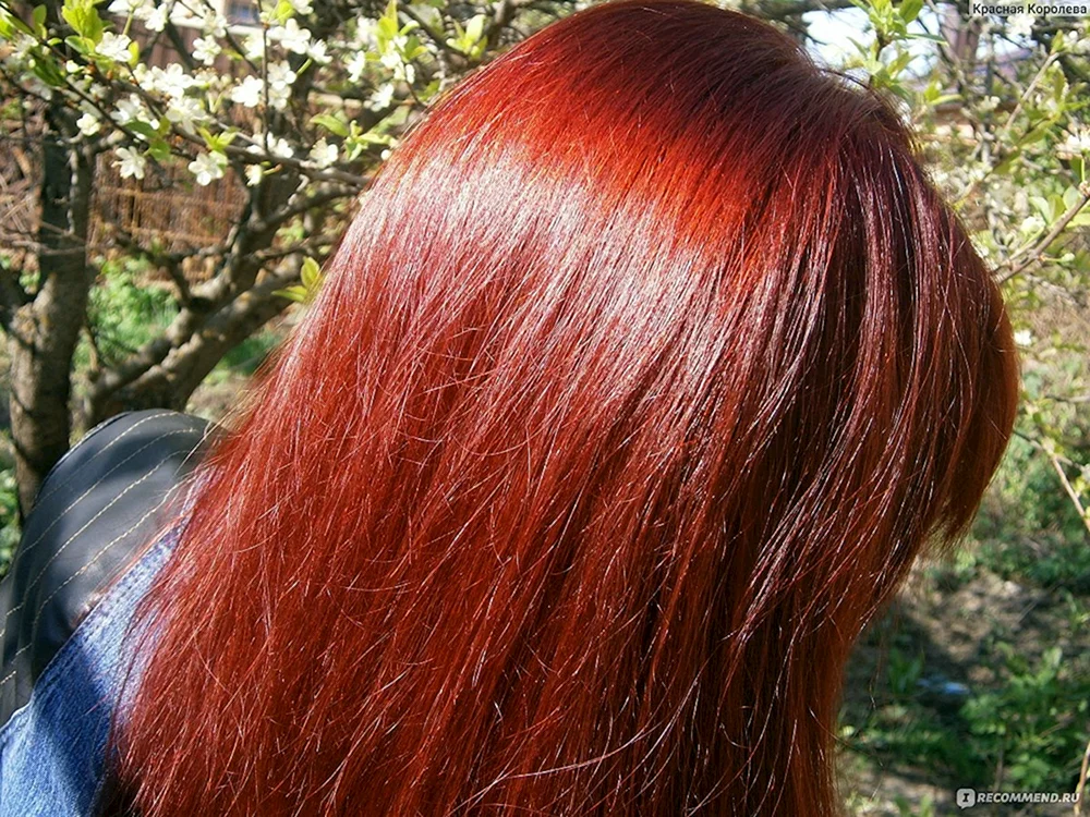 Garnier Color Sensation 5.62