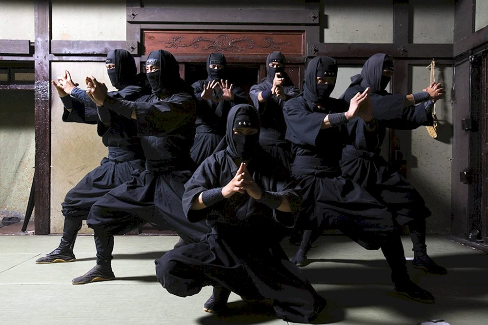 Ninja Gaiden shadows film 2012