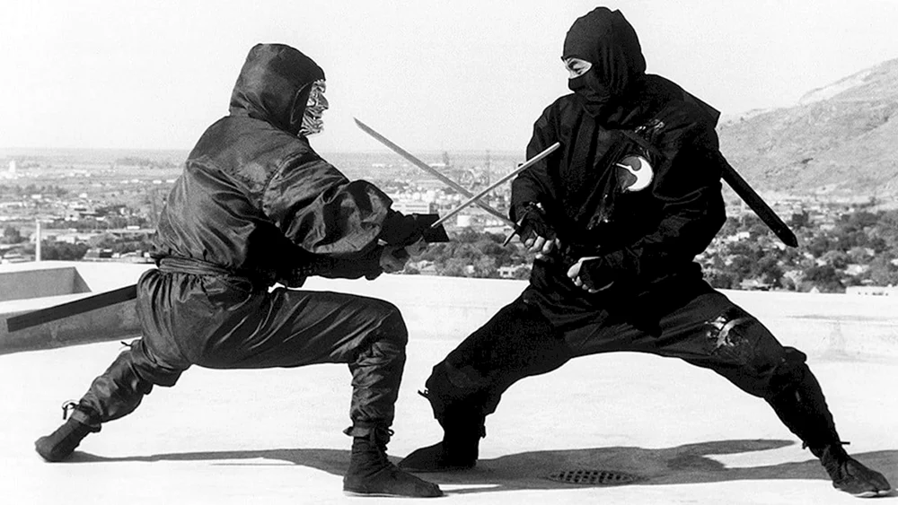 Japanischer Ninja Ninjutsu