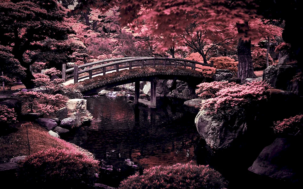 Anime Herbst