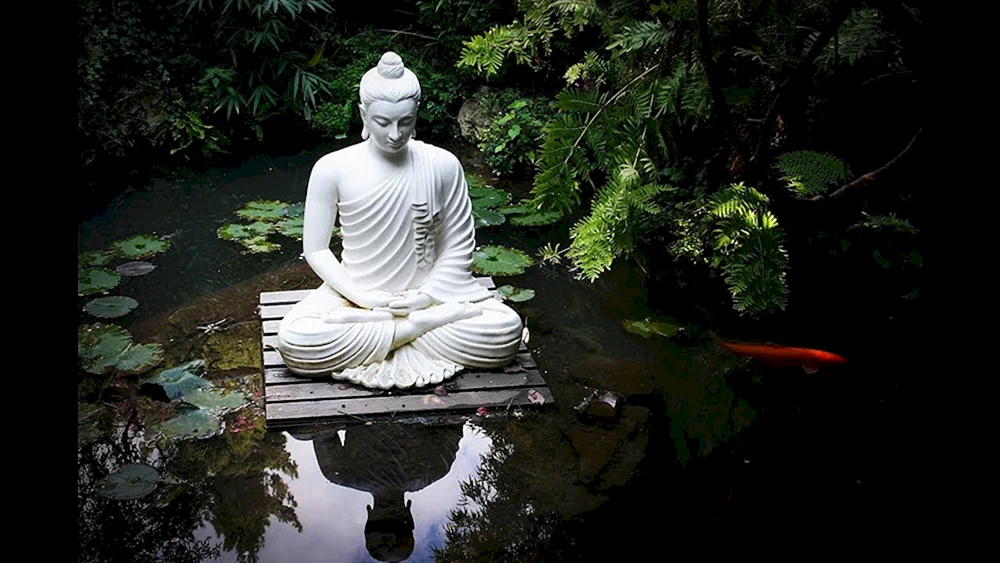 Zen Garten