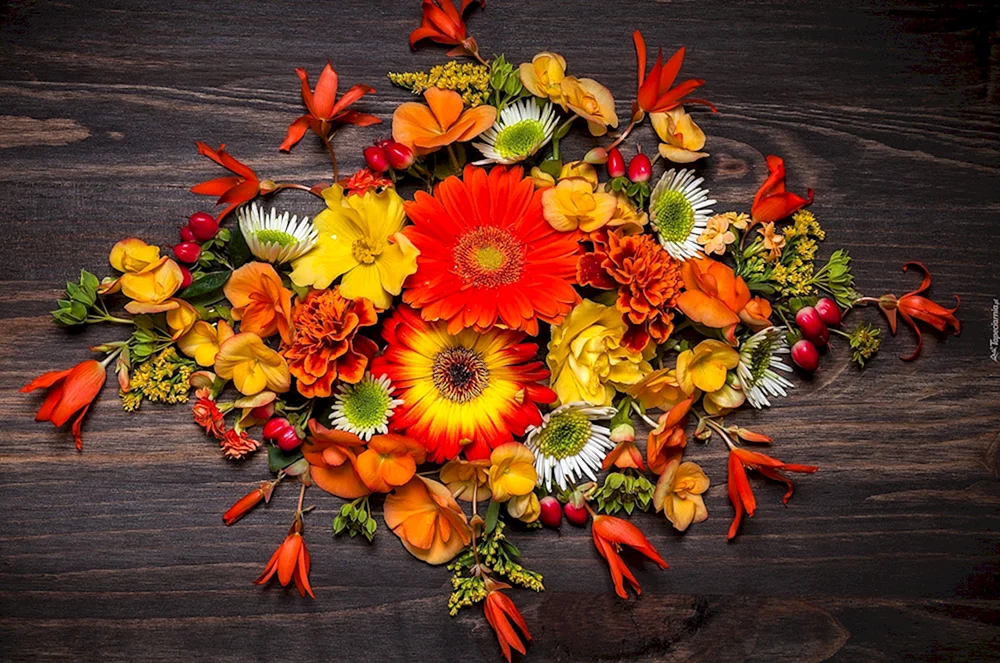 Leuchtende Herbstblumen