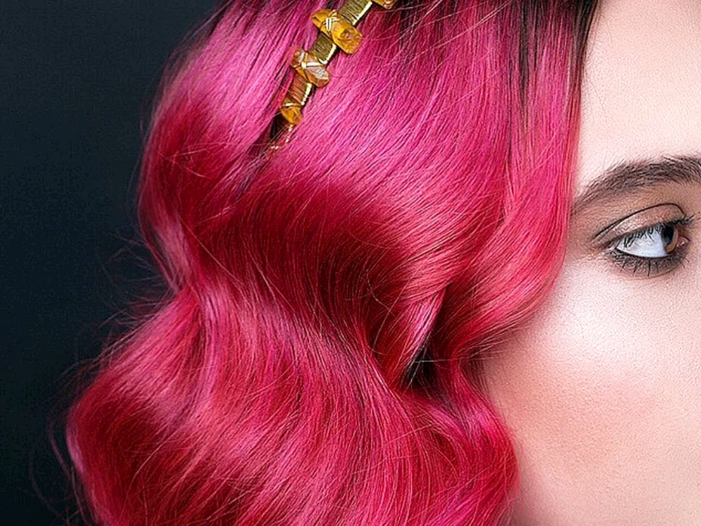 Fuchsia fuchsia
