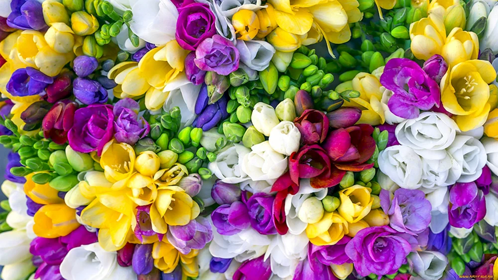 Helle Blumen