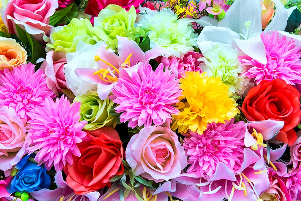 verschiedene Blumen