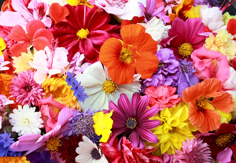 ein schöner Blumenstrauß