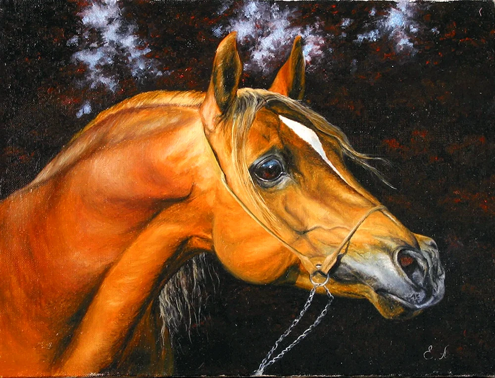 Jaroslav Kolobaev Künstler- Tierarzt