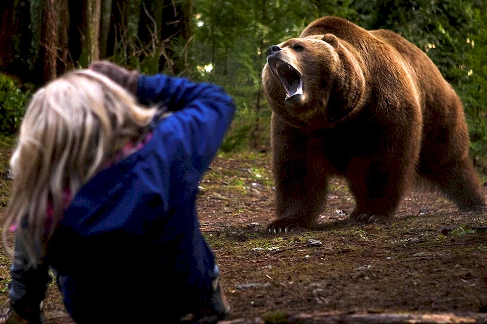 Grizzly Fury Film 2007