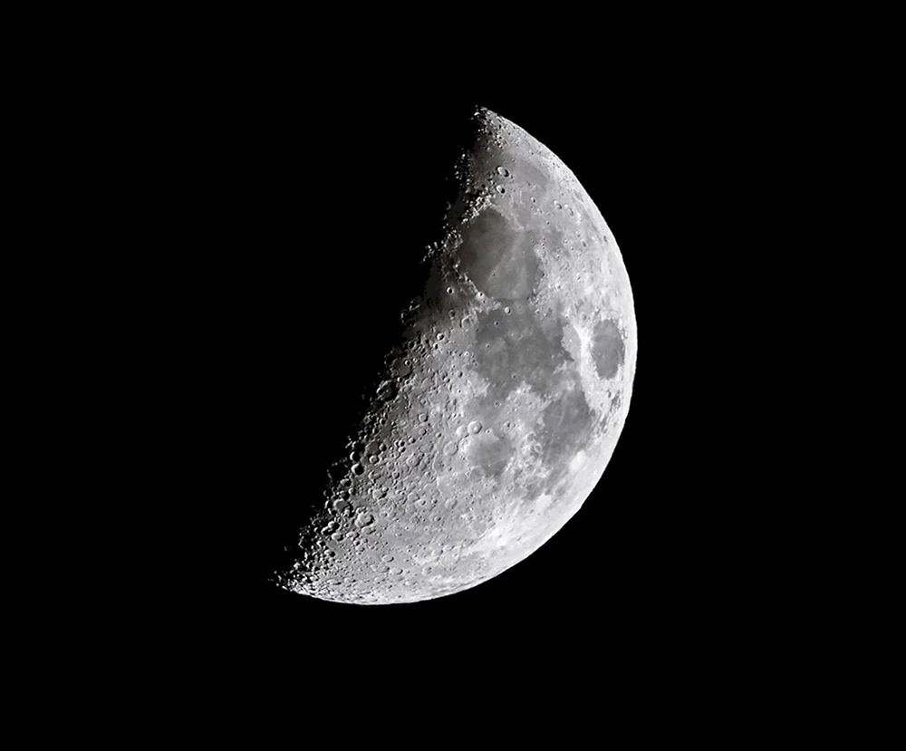 Luna Moon Sprache