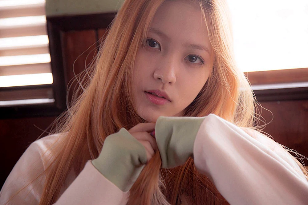 Yeri roter Samt