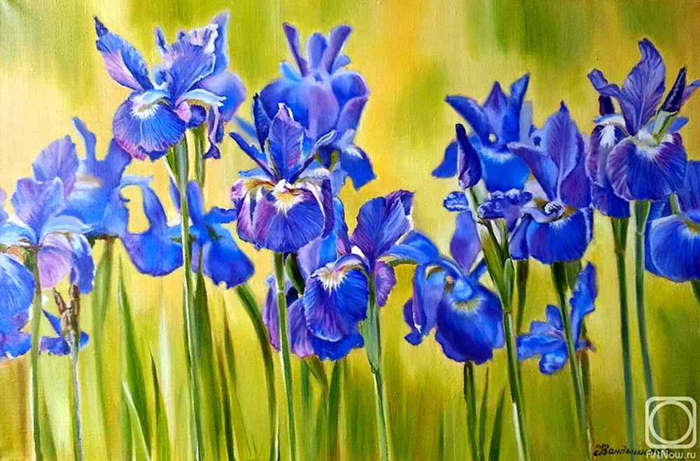 Igor Yanovsky Maler irises