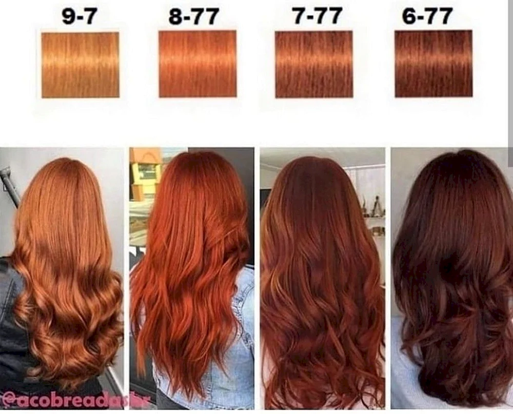 Igora Rot 8. 77 Palette