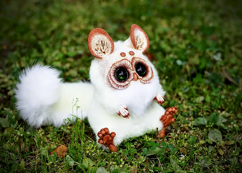 Niedliche Tiere