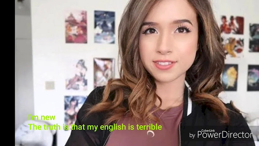 Imaine Pokimane anis