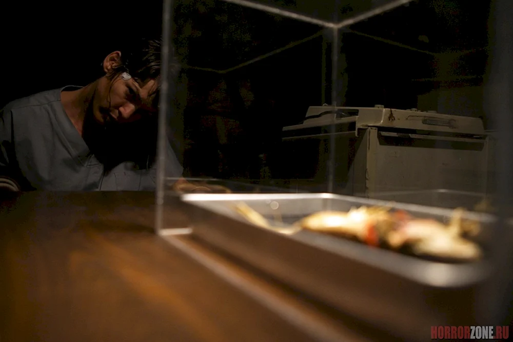 Institut Atticus Film 2015