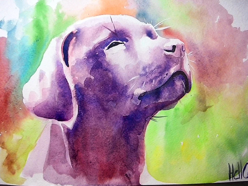 Interessante Aquarell-Zeichnungen