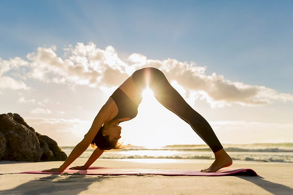 Yoga heilende Asanas Timothy McCall