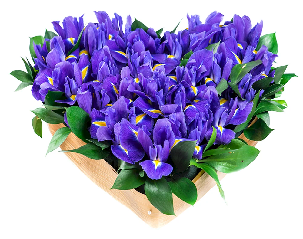 Iris Blue Magic Strauß
