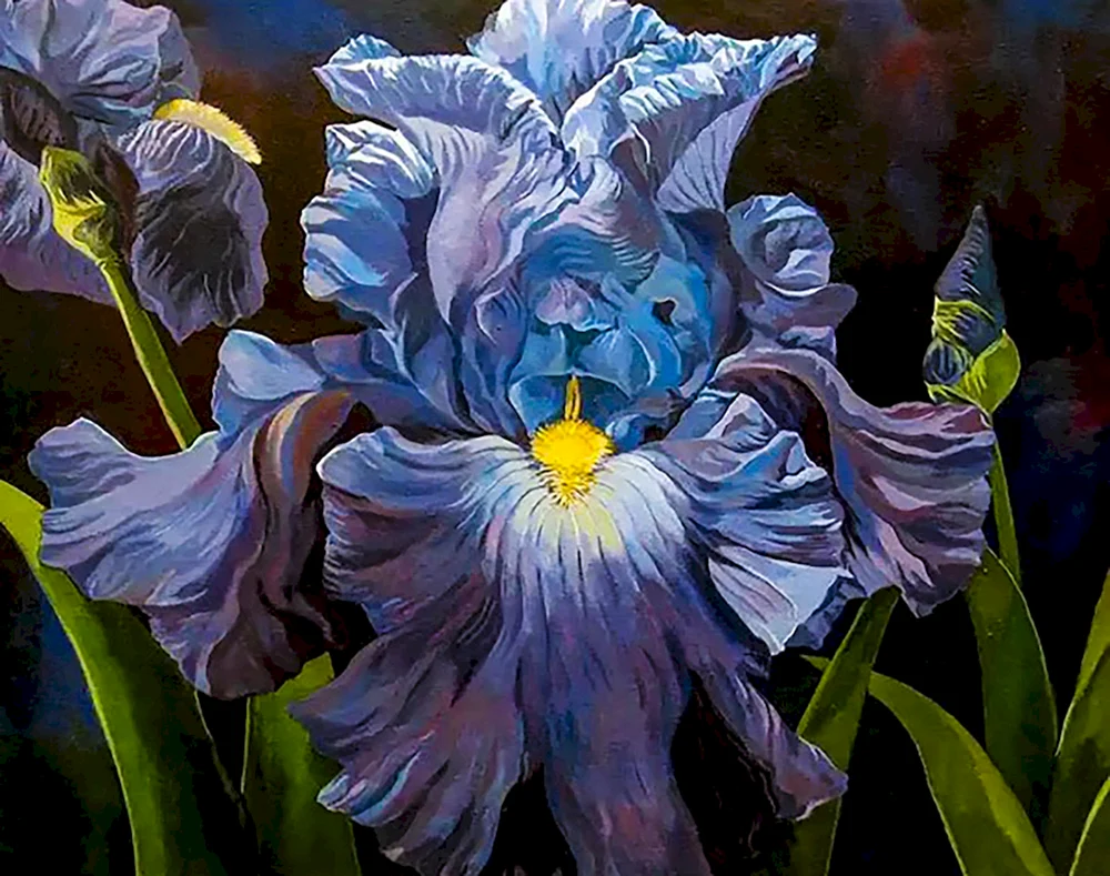 Daryl Trott irises
