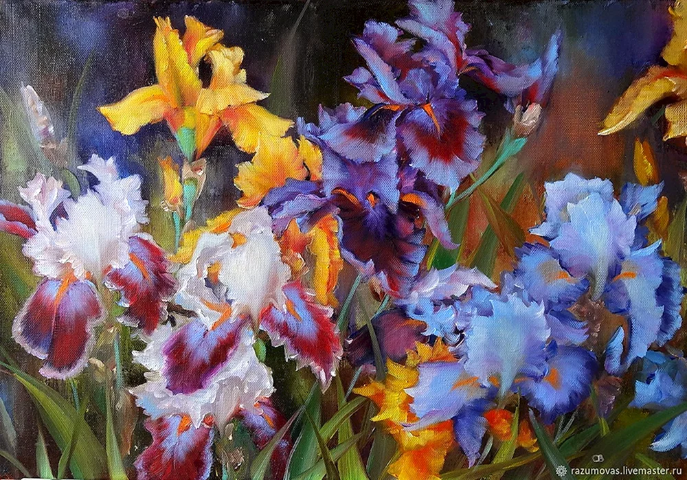 Elizabeth Horning irises