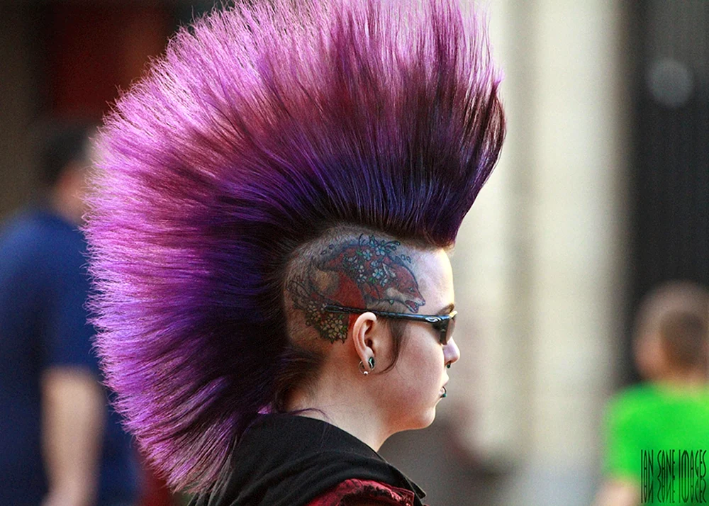 Anderkatze Pompadour