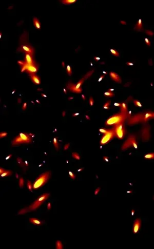 Feuerfunken