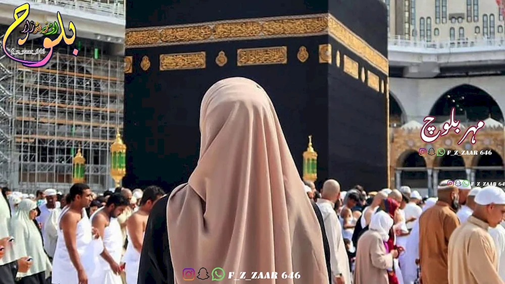 Salihat Kasumova Niqab