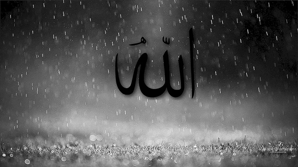 Islamische Tapete