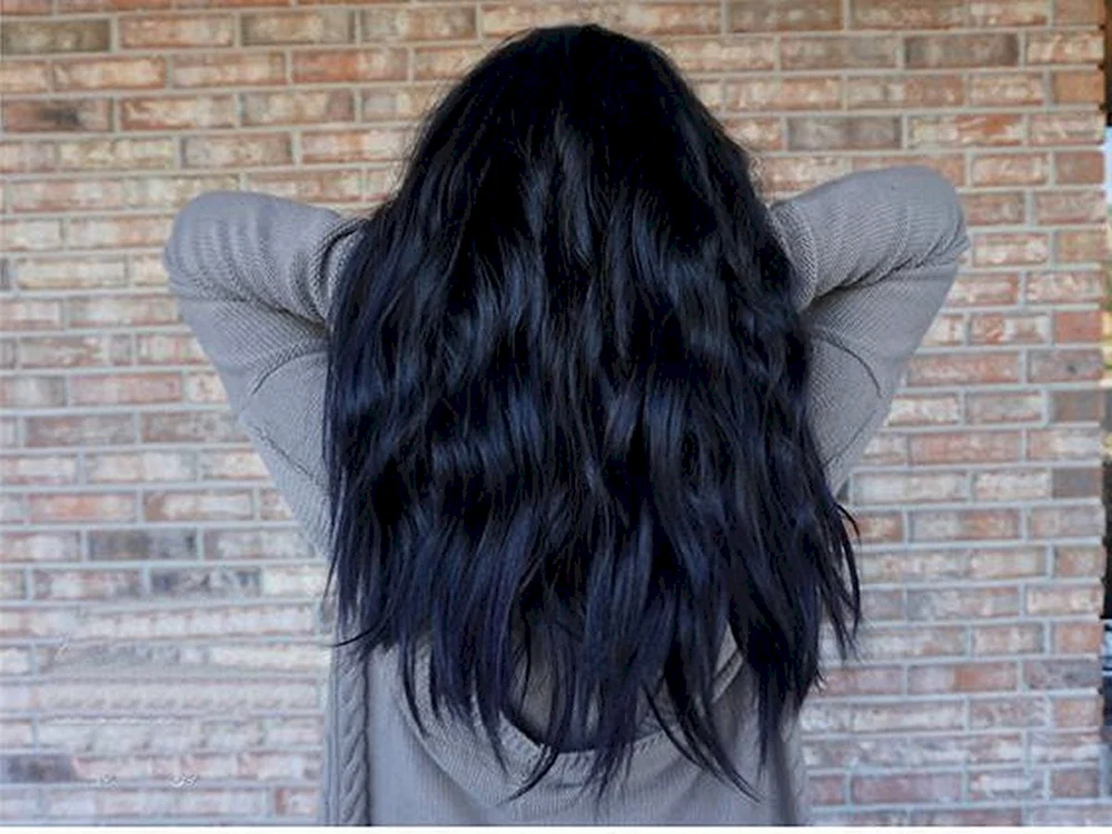 Schwarzkopf Brilliance Issy schwarz 891