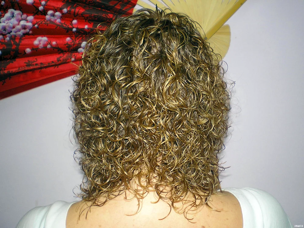 Cascade bio curl