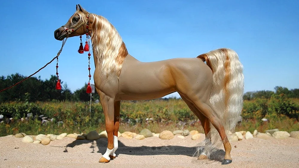Arabisches Rennpferd