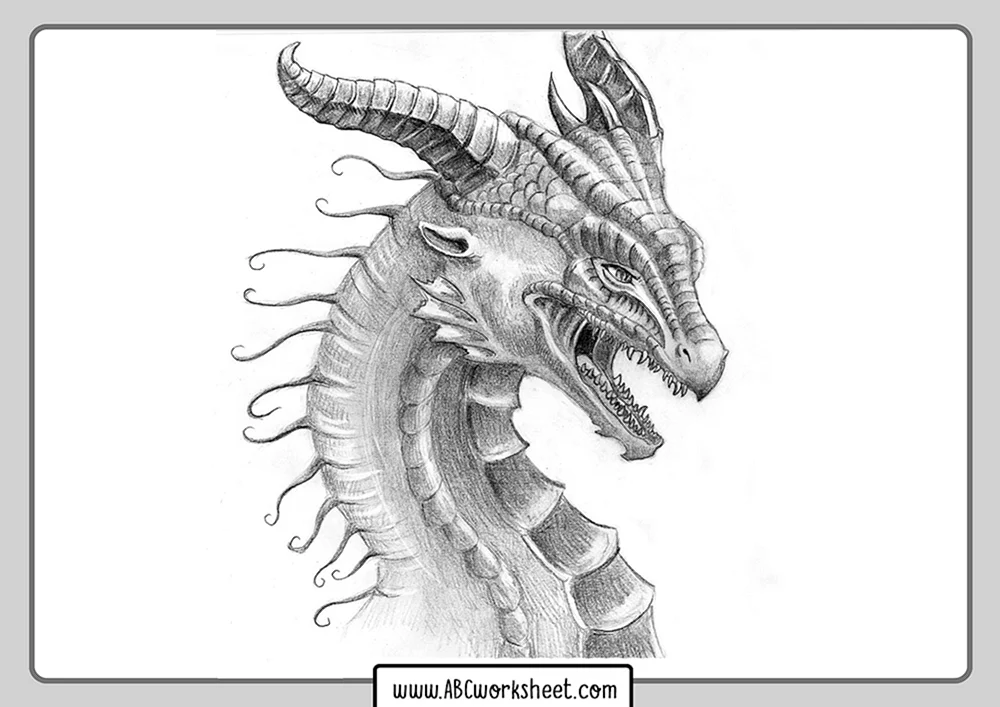Alvia Alcedo Drachen