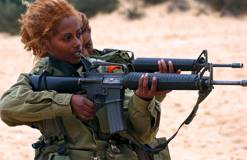 Israel Defence Force